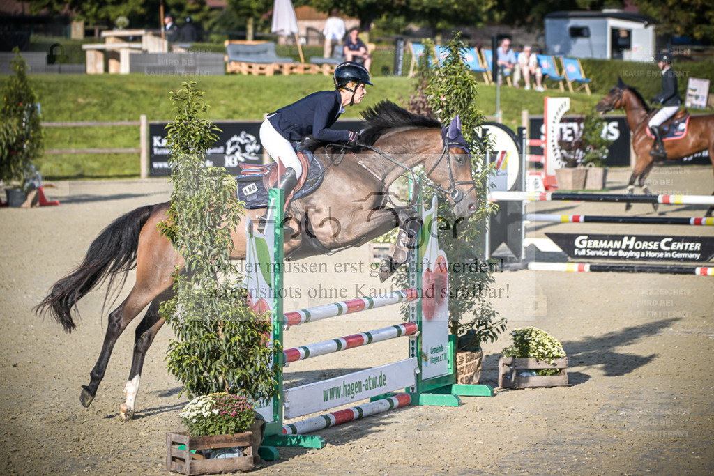 DOS_7658 | Entdecke hochwertige Reitturnierfotos von Foto Oger. Professionell, emotional und authentisch – jetzt Lieblingsmomente im Shop bestellen. - Realisiert mit Pictrs.com