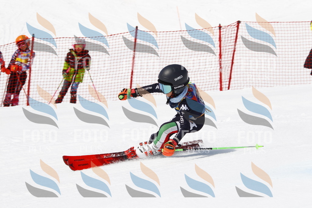 _U3G5459 | holidayphoto