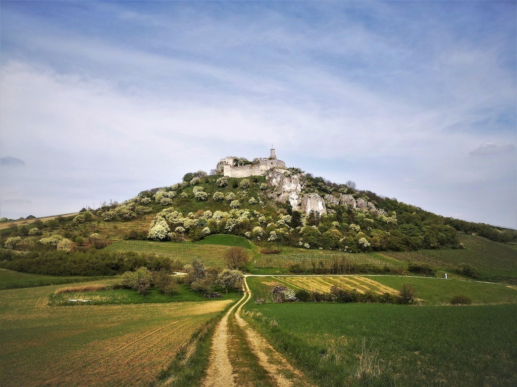 She lies sublime - telling stories | Perched on a limestone cliff, Falkenstein Castle, built around 1050, rose to fame as a "mountain castle". The Swedes were clearly not impressed. The locals saw the castle's value more as a "quarry" for cheap building materials. However, it tells its stories to the stroller. And for many a hiker, the fascinating impressions of the night have given one or two fantastic dreams.