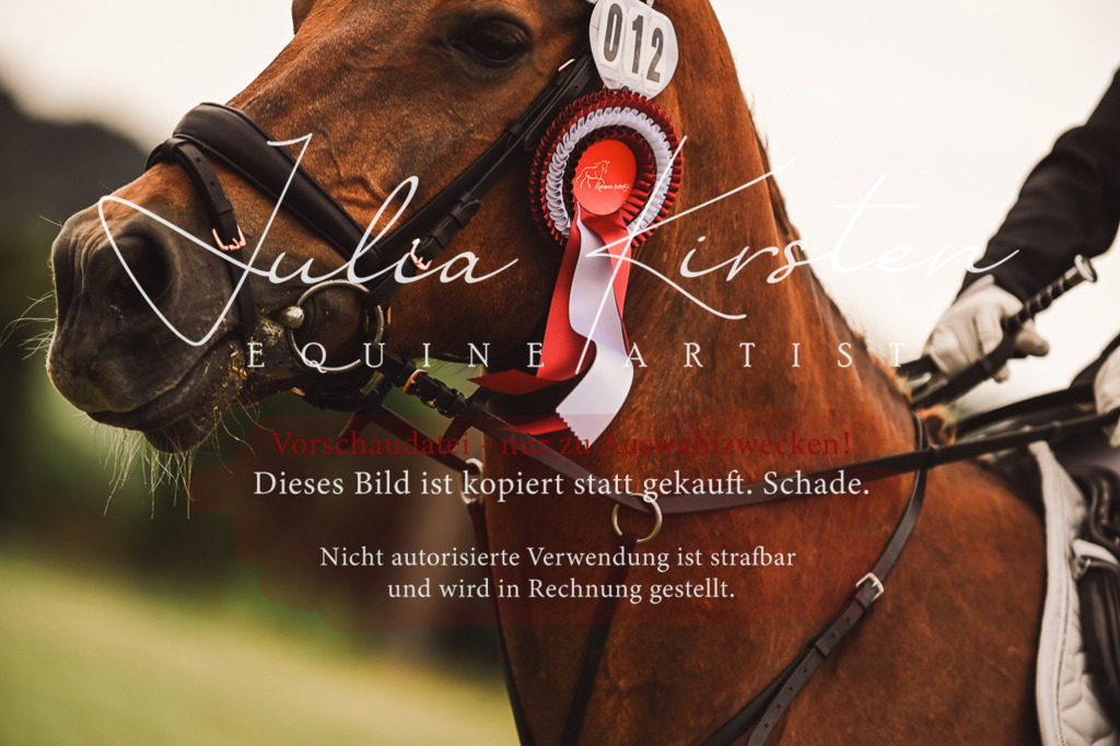 DSC_7015 | Pferde- und Turnierfotografie in Westsachsen. Pferdeportraits, Auftragszeichnungen und intuitive Kunst.