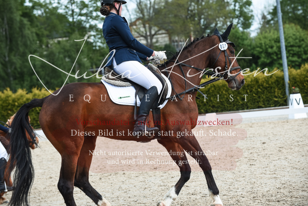 20230518_JK-Röhrsdorf-11-0974 | Pferde- und Turnierfotografie in Westsachsen. Pferdeportraits, Auftragszeichnungen und intuitive Kunst.