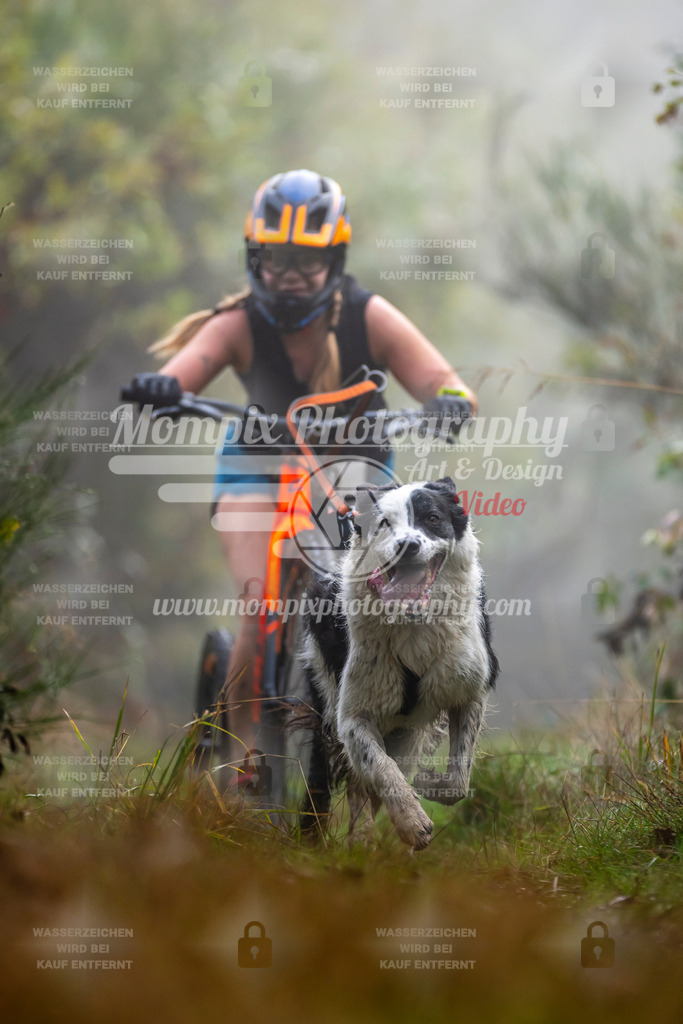 MompixPhotography_20TSB_E4_DS1-59 | PayLife