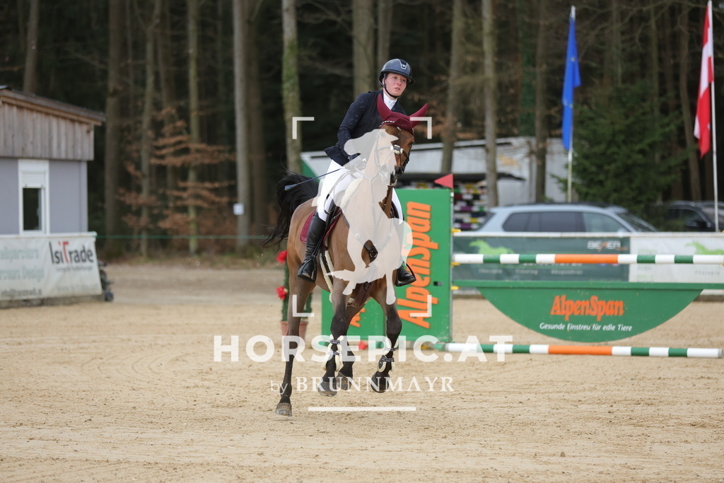 0P6A4959 | Willkommen bei Brunnmayr - Design & Fotografie – Ihrem Spezialisten für Reitturniere und Pferdeveranstaltungen in Oberösterreich, Salzburg und Bayern! Seit über 17 Jahren sind wir leidenschaftlich dabei.