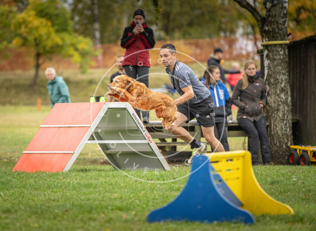Pfotenfotografie_DV3A9925 | Hundefotografie, Tierfotograf, Pfotenfotografie, Fotoshooting Hund, Hunde Portrait, Hundesport, Hundeportraits, Heideshooting, Hunde, Sportfotograf, Hundefotograf, Turnierhundsport, THS,  - Realisiert mit Pictrs.com
