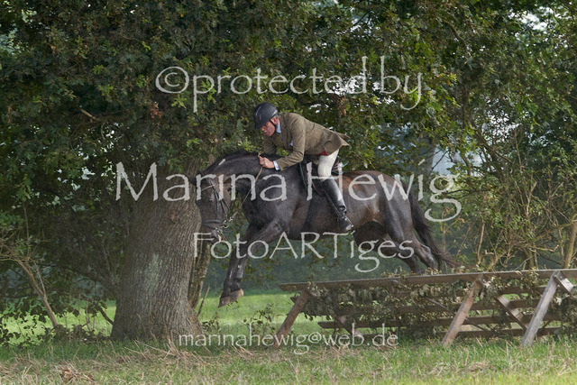 09-23 Jagd Perdöl_MCH9923_Marina Hewig | Fotografie, FotoArt, PferdesportArt, Pferdesportfotografie, Landschaftsfotografie, Reisefotografie, Reise, Pferde - Realisiert mit Pictrs.com