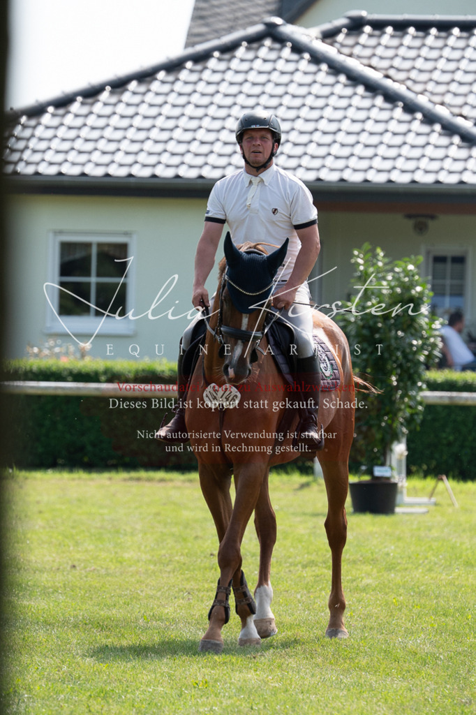 DSC_0651 | Pferde- und Turnierfotografie in Westsachsen. Pferdeportraits, Auftragszeichnungen und intuitive Kunst.