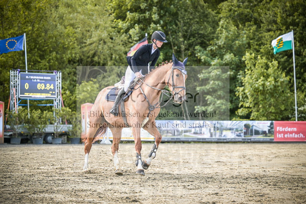 DOS_8689 | Entdecke hochwertige Reitturnierfotos von Foto Oger. Professionell, emotional und authentisch – jetzt Lieblingsmomente im Shop bestellen.Deutschlandweite Turnierfotografie. - Realisiert mit Pictrs.com