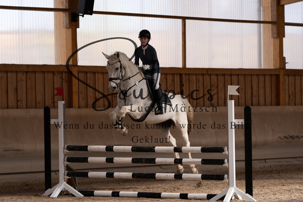 A7507717 | Pferdefotograf