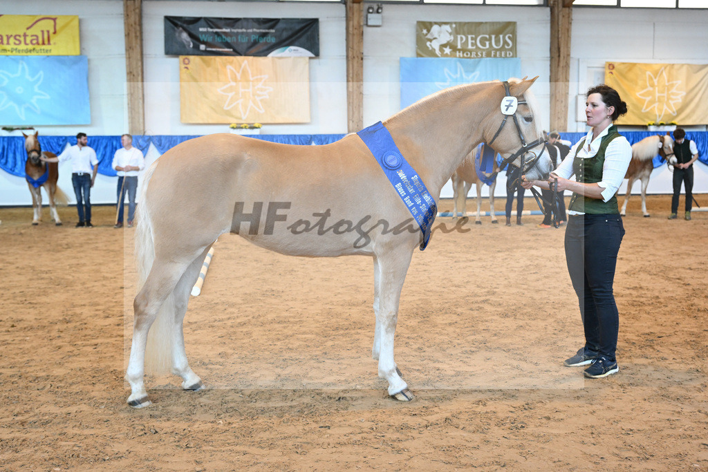 Kat-Nr. 7 Daria v. Armani Ass_Obermaier_60221263 | hf-fotografie - Realisiert mit Pictrs.com