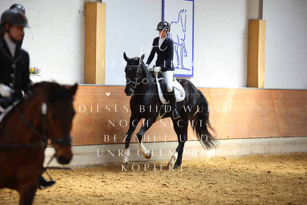 IMGT3560 | pl-fotografie