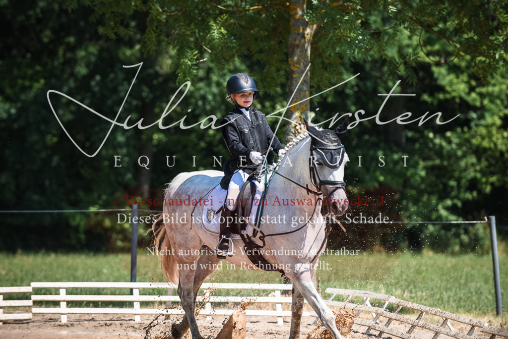 DSC_3111 | Pferde- und Turnierfotografie in Westsachsen. Pferdeportraits, Auftragszeichnungen und intuitive Kunst.