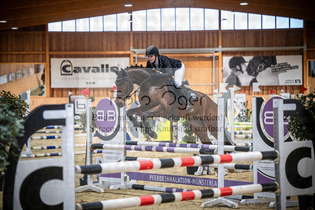 DOS_0832 | Entdecke hochwertige Reitturnierfotos von Foto Oger. Professionell, emotional und authentisch – jetzt Lieblingsmomente im Shop bestellen.Deutschlandweite Turnierfotografie. - Realisiert mit Pictrs.com