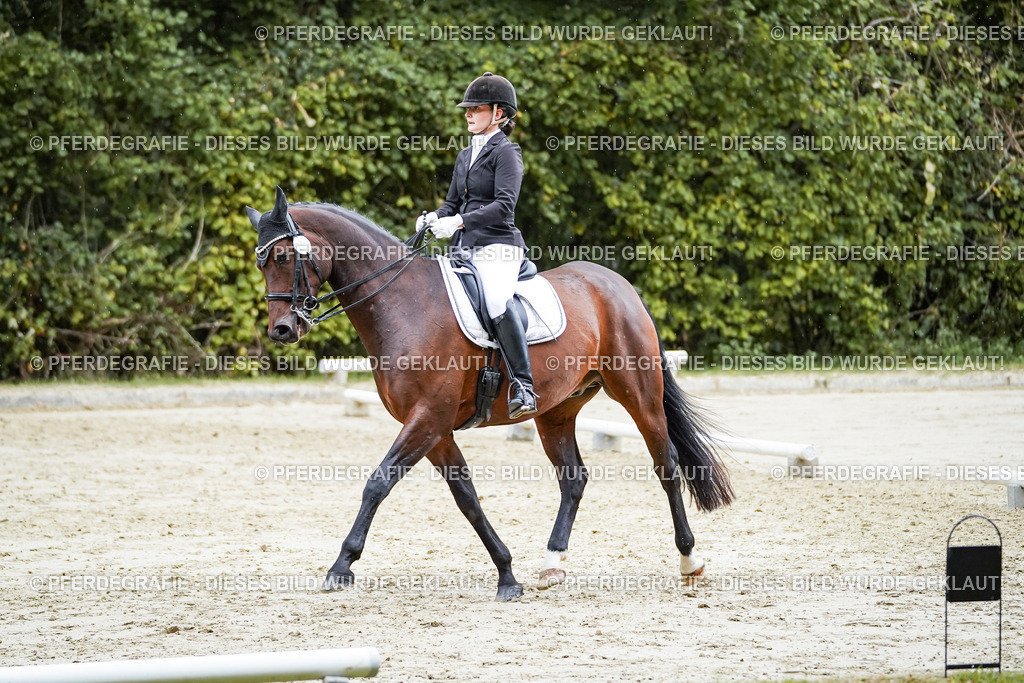 DSC00517 | Pferdegrafie