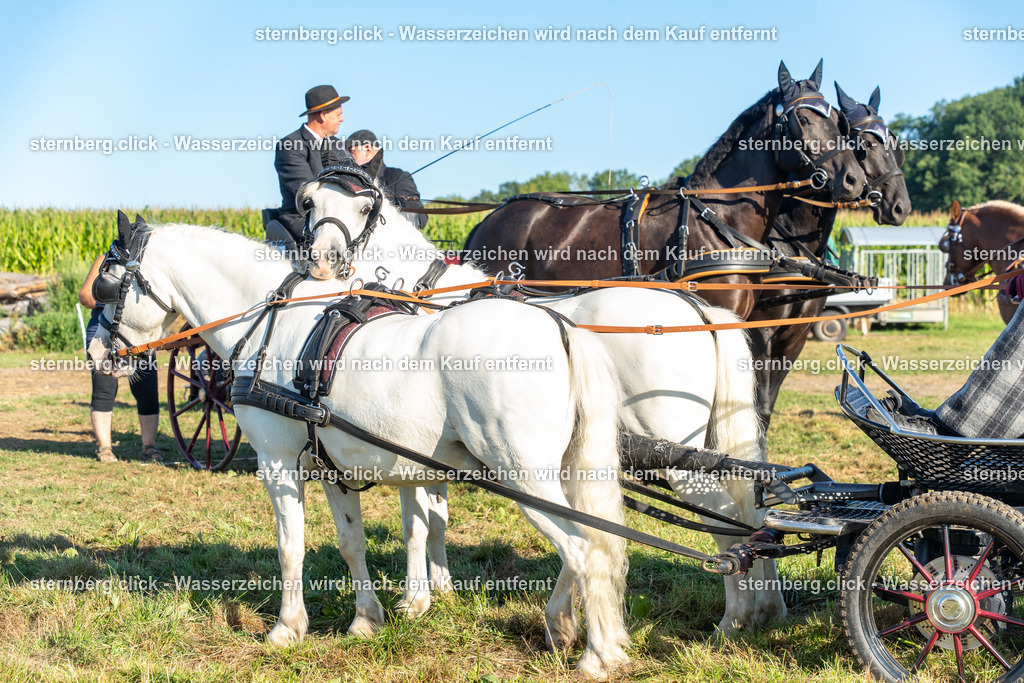 2026-08-08_07-20-46_WBO_Pulsnitz | sternberg.click - Realisiert mit Pictrs.com