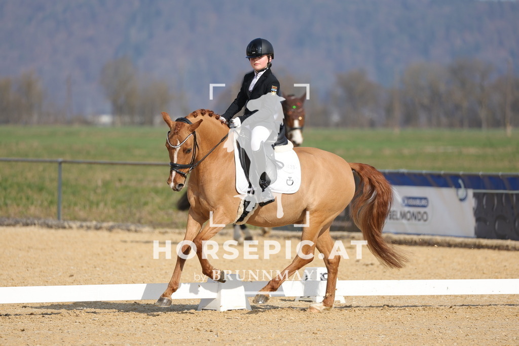0P6A6262 | Willkommen bei Brunnmayr - Design & Fotografie – Ihrem Spezialisten für Reitturniere und Pferdeveranstaltungen in Oberösterreich, Salzburg und Bayern! Seit über 17 Jahren sind wir leidenschaftlich dabei.
