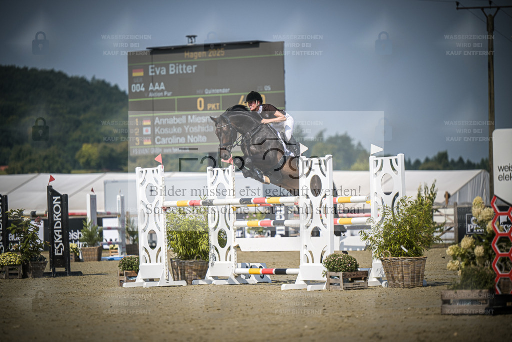 DOS_0470 | Entdecke hochwertige Reitturnierfotos von Foto Oger. Professionell, emotional und authentisch – jetzt Lieblingsmomente im Shop bestellen. - Realisiert mit Pictrs.com