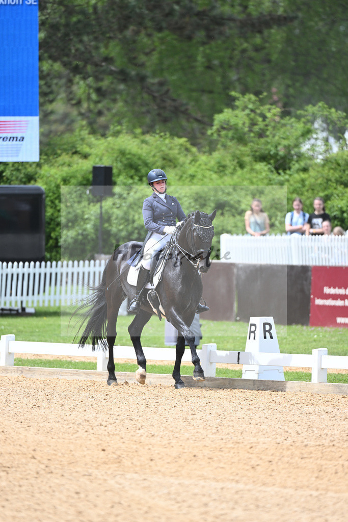 Merk_Sambuco_11233589 | hf-fotografie - Realisiert mit Pictrs.com