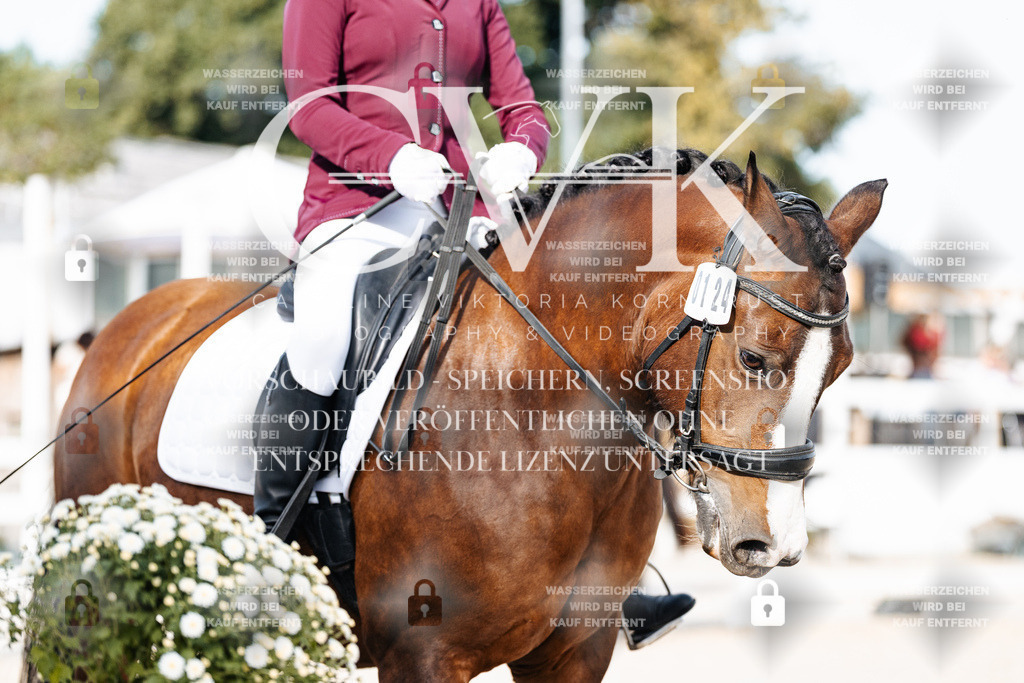 CK904971 | Turnierfotografie Pferdefotografie Trier Rheinland-Pfalz Pferdesport Reitsport Tierfotografie Sportfotografie Pferdevideo Pferdevideografie Equestrianvideography equestrianphotography  - Realisiert mit Pictrs.com