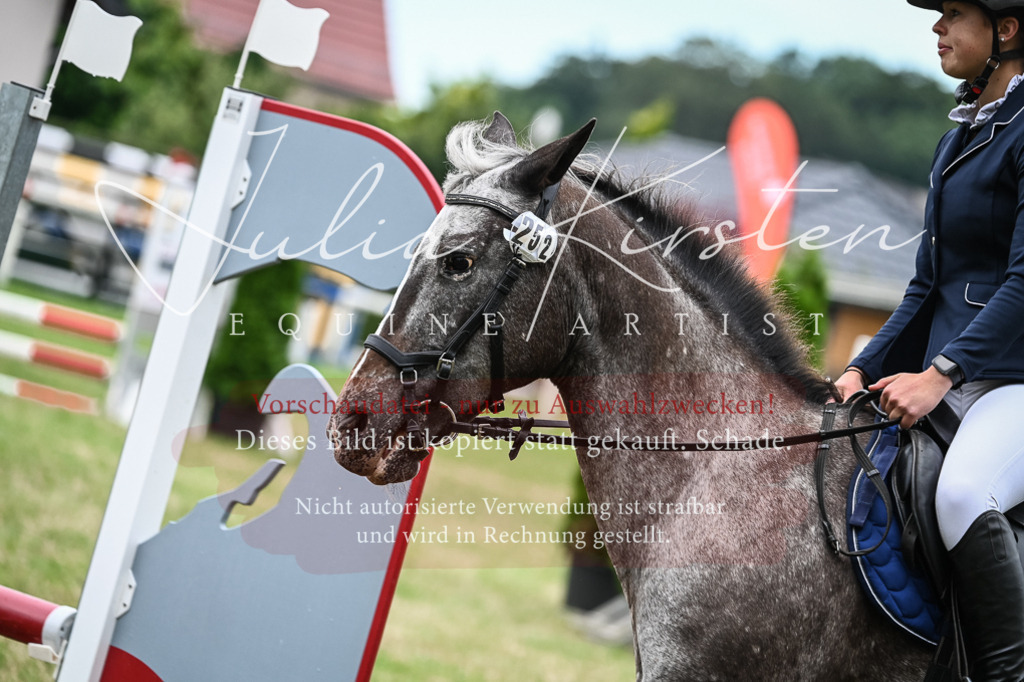 DSC_8543 | Pferde- und Turnierfotografie in Westsachsen. Pferdeportraits, Auftragszeichnungen und intuitive Kunst.