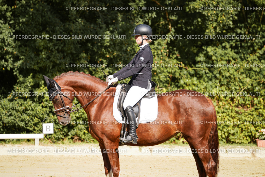 DSC08696 | Pferdegrafie