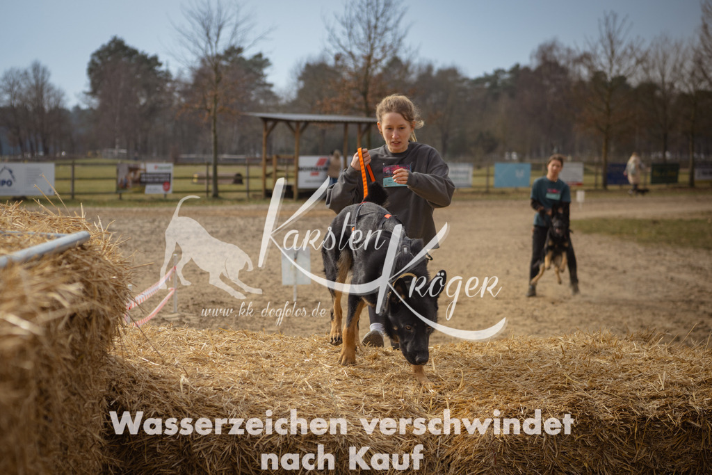 1118_ZZ92733 | kk-dogfotos