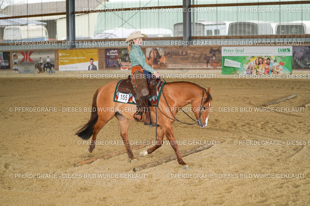 DSC05053 | Pferdegrafie