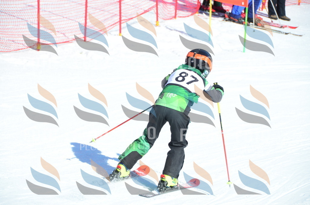 C5661 | holidayphoto