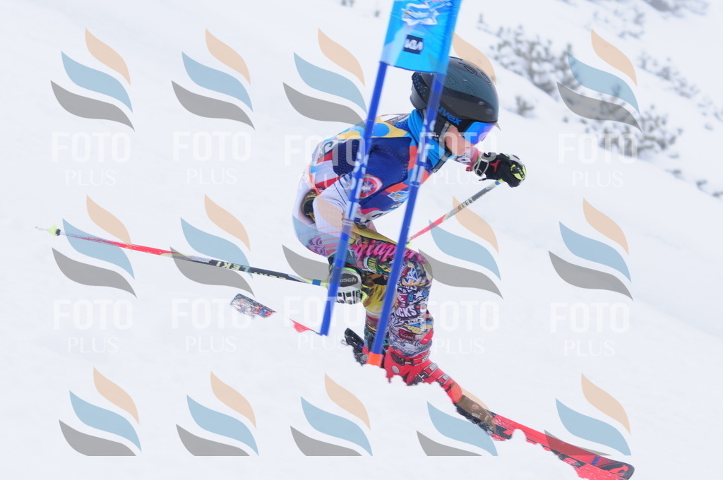 C2383 | holidayphoto