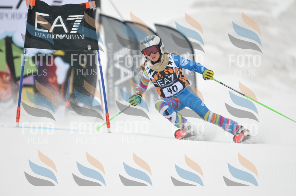 DSC_7623 | holidayphoto