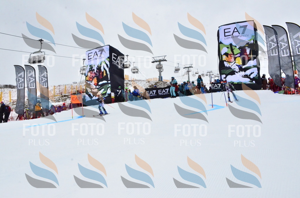 _ELE3083 | holidayphoto