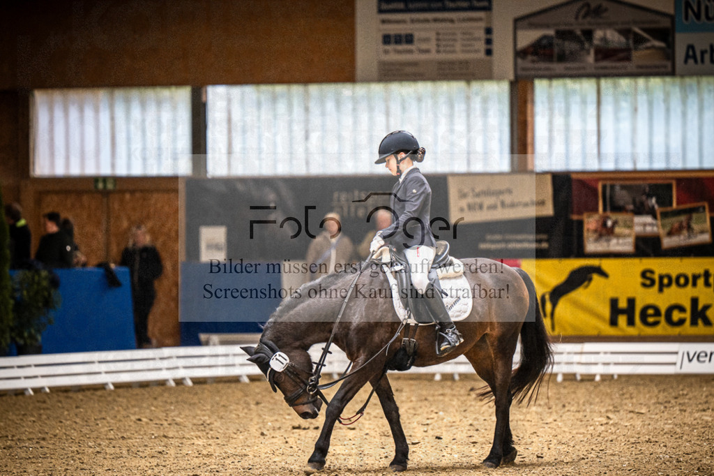 DOS_0186 | Entdecke hochwertige Reitturnierfotos von Foto Oger. Professionell, emotional und authentisch – jetzt Lieblingsmomente im Shop bestellen.Deutschlandweite Turnierfotografie. - Realisiert mit Pictrs.com