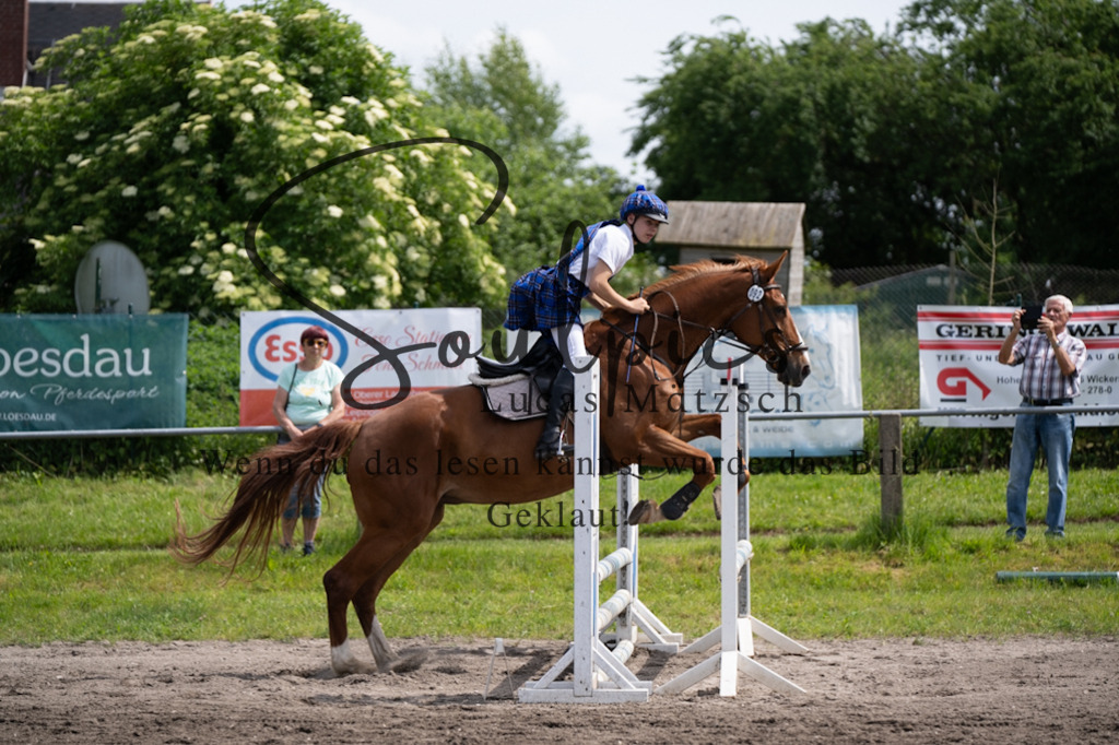 A7V04706 | Pferdefotograf