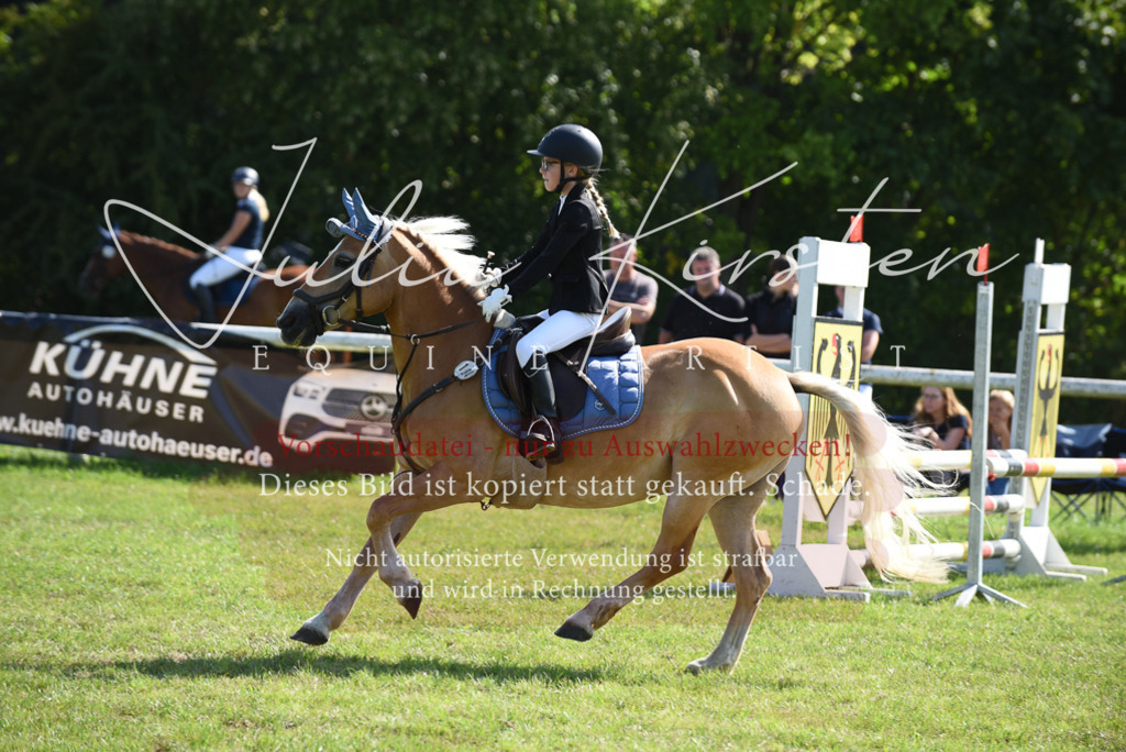 DSC_9057 | Pferde- und Turnierfotografie in Westsachsen. Pferdeportraits, Auftragszeichnungen und intuitive Kunst.