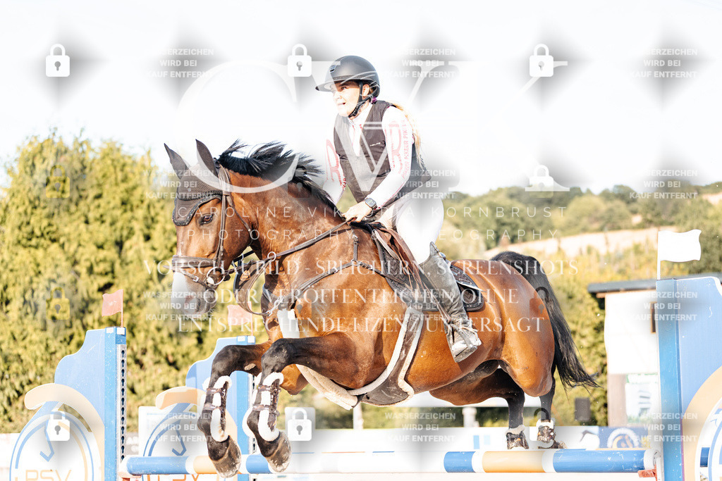 CK903442 | Turnierfotografie Pferdefotografie Trier Rheinland-Pfalz Pferdesport Reitsport Tierfotografie Sportfotografie Pferdevideo Pferdevideografie Equestrianvideography equestrianphotography  - Realisiert mit Pictrs.com