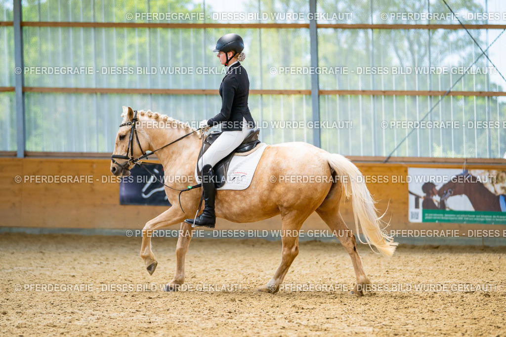 DSC09383 | Pferdegrafie