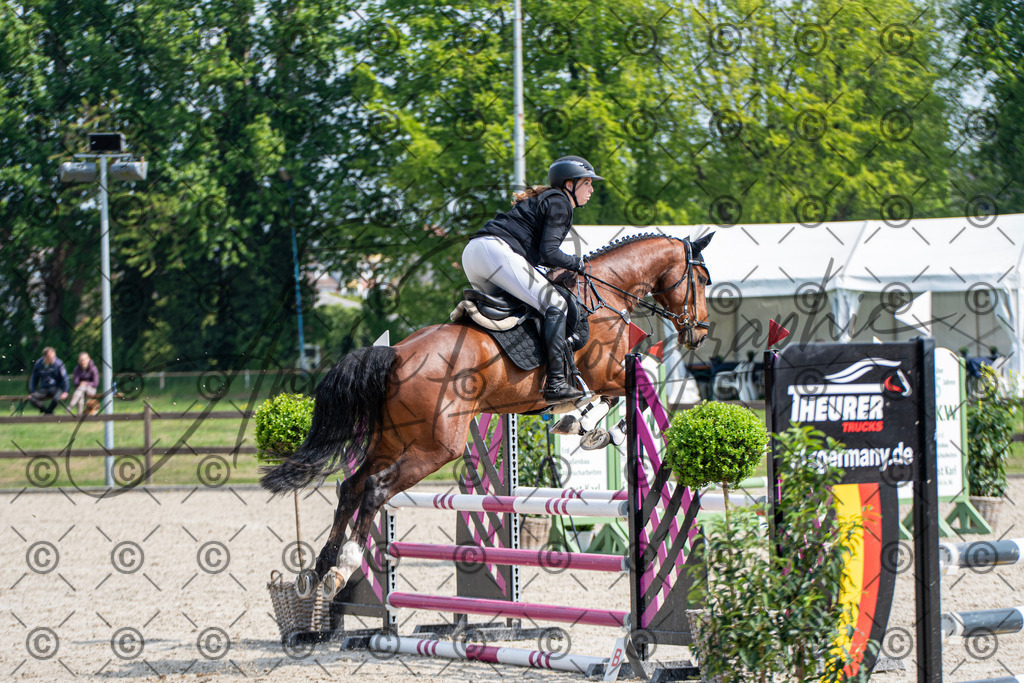 KPT_2686 | andre_photographic