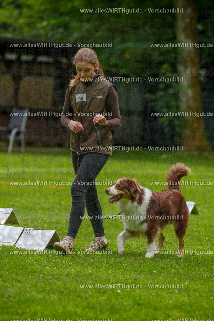 @allesWIRTHgut_Tierfotografie - www.allesWIRTHgut.de - 7R500617 | Professionelle Tierfotografie in Mönchengladbach von Daniel Wirth (allesWIRTHgut). Liebevolle & natürliche Bilder von Hunden & Katzen für unvergessliche Erinnerungen.