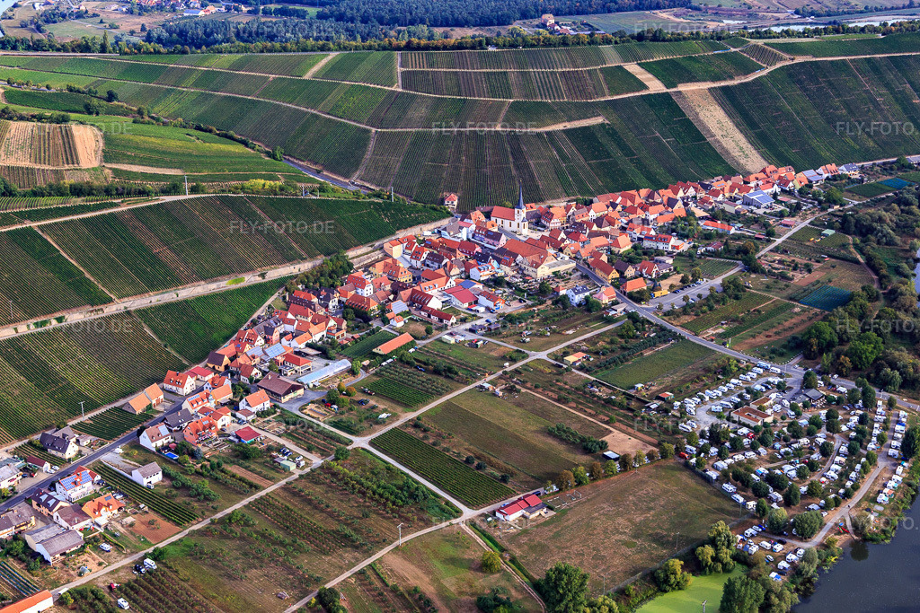 Luftbild: Winzerdorf am Main aus Südosten im Ortsteil Escherndorf in Volkach im Bundesland Bayern in Deutschland. Foto: IMG_111273.jpg vom 09.09.2018 durch Werner Riehm/FLY-FOTO.de