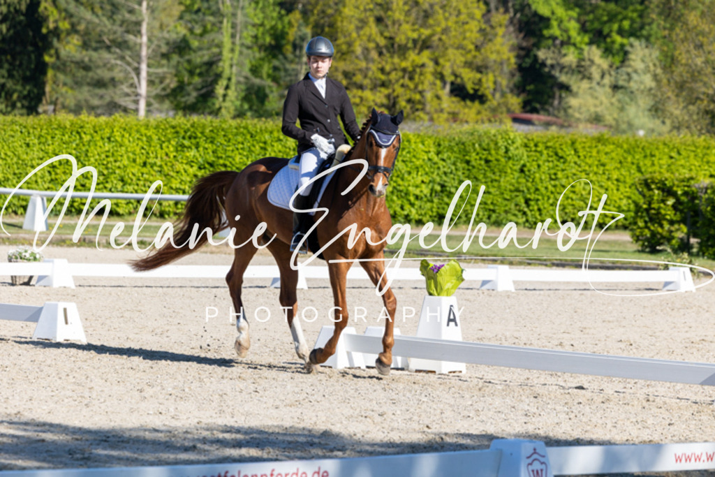 7I8A9020 | melanie-engelhardt-photography - Realisiert mit Pictrs.com
