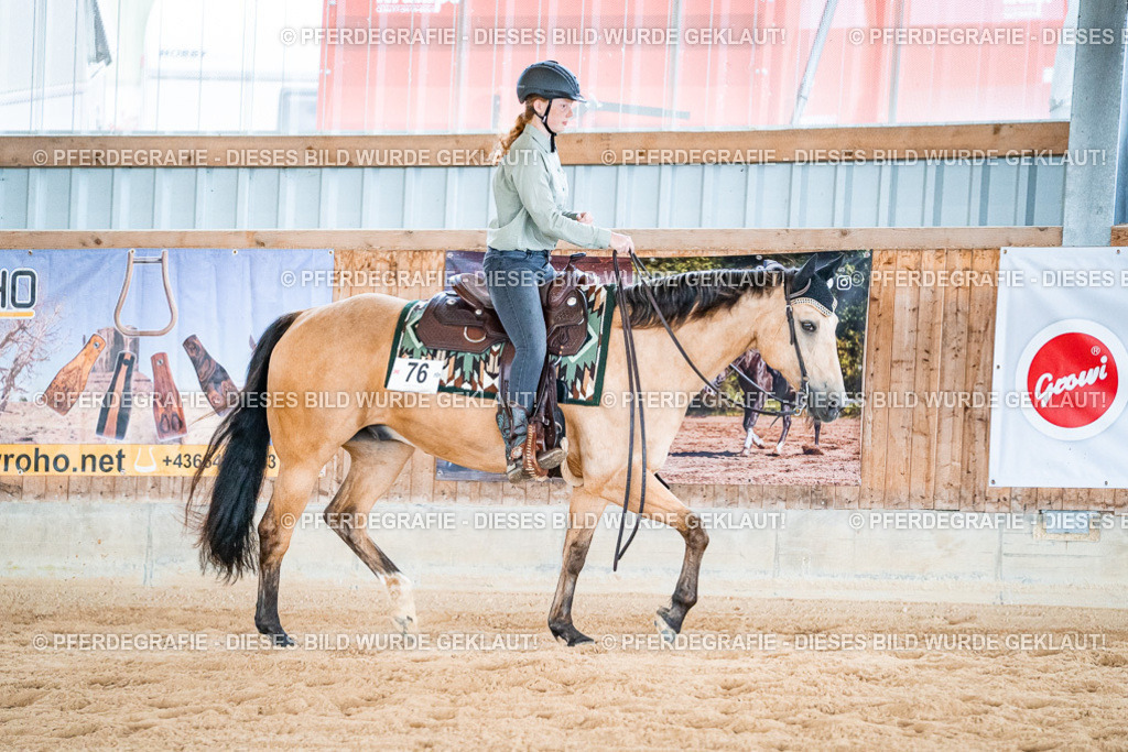 DSC09683 | Pferdegrafie