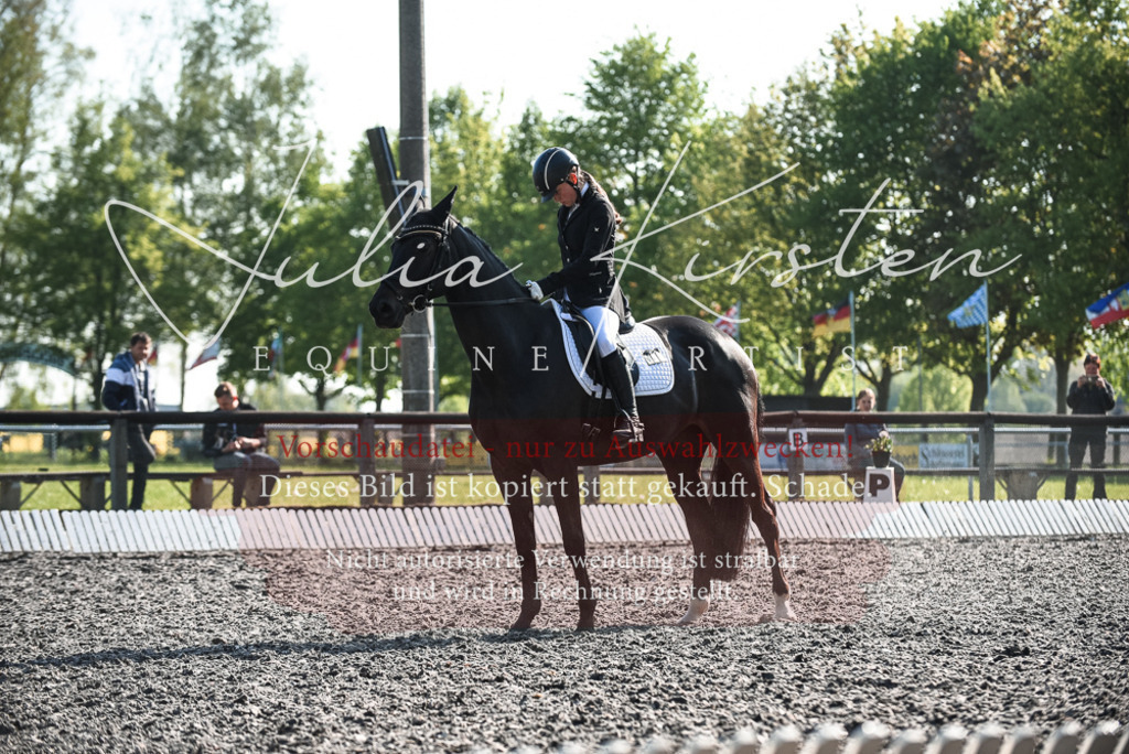 DSC_8317 | Pferde- und Turnierfotografie in Westsachsen. Pferdeportraits, Auftragszeichnungen und intuitive Kunst.