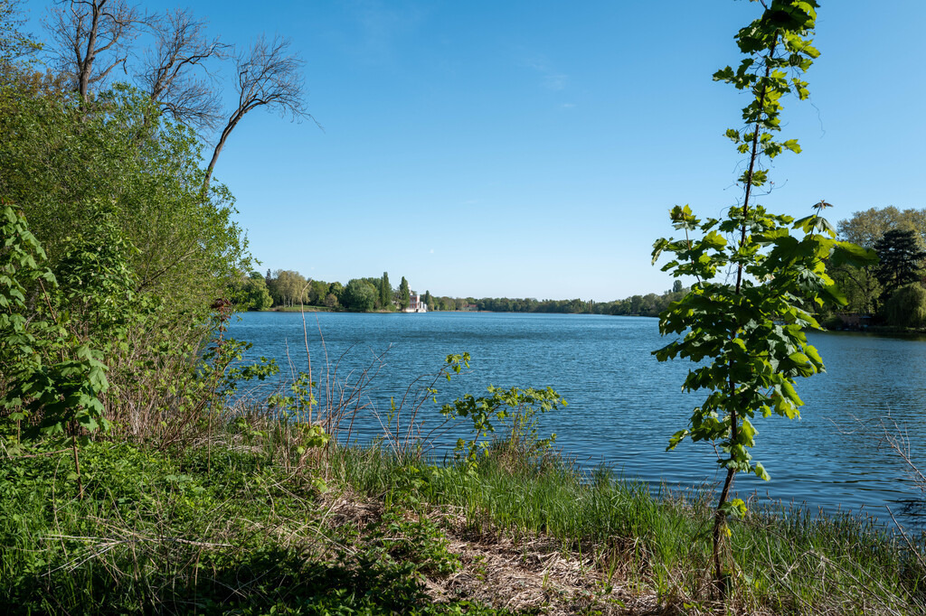 Potsdam (65) | hgt-foto