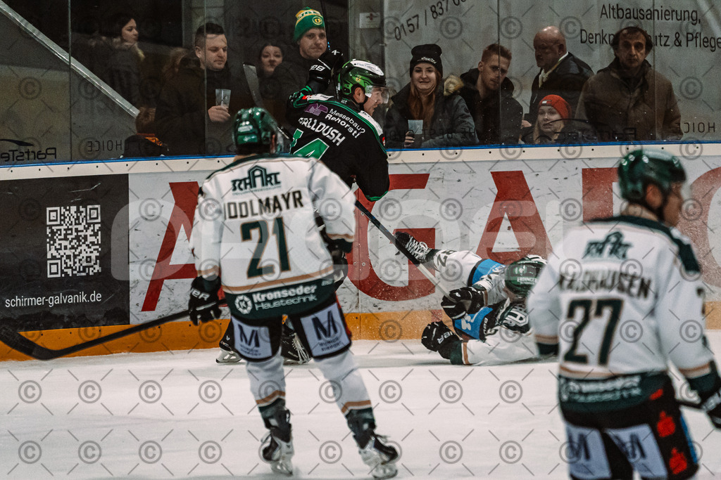 Alligators_vs_Erding_12_12_2025-086 | Höchstadt Alligators Fotogalerie: Eishockey-Action aus Franken. Professionelle Spielfotos, Portraits & Stadionbilder zum Download. Jetzt entdecken! - Realisiert mit Pictrs.com