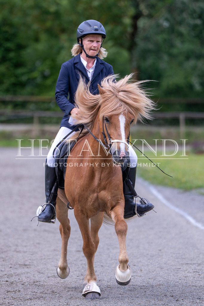 KAI01720 | Ihr sucht einen Fotografen für eure nächste OSI? Ich begleite auch euer Turnier für Islandpferde fotografisch.  - Realisiert mit Pictrs.com