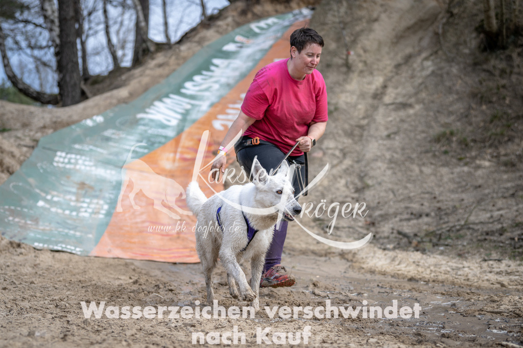 1102DSC_7422 | kk-dogfotos