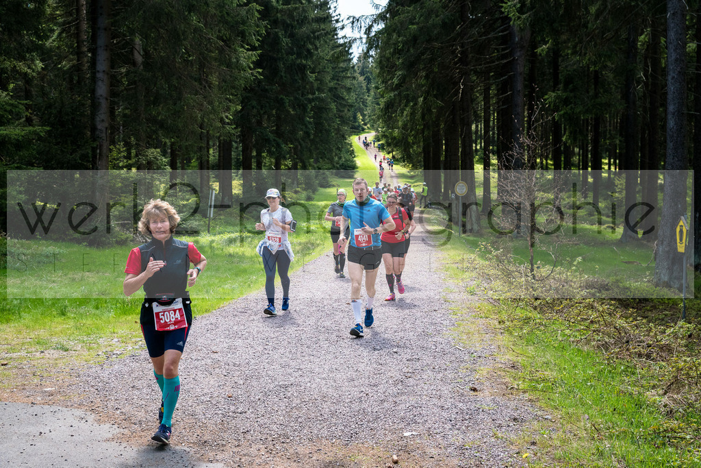 Rennsteiglauf 2019 | Marathon Neuhaus/Rwg. - Schmiedefeld am 18. Mai 2019