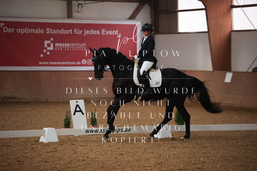 IMGT6934 | pl-fotografie