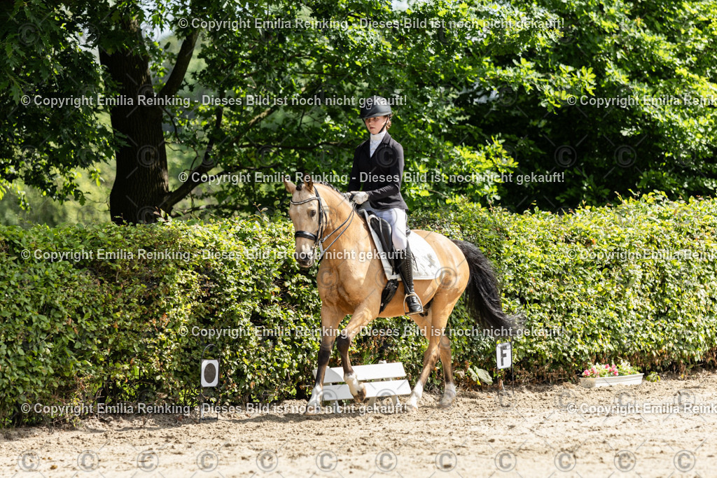 CL5A7715 | Emilia Reinking Fotografie - Realisiert mit Pictrs.com