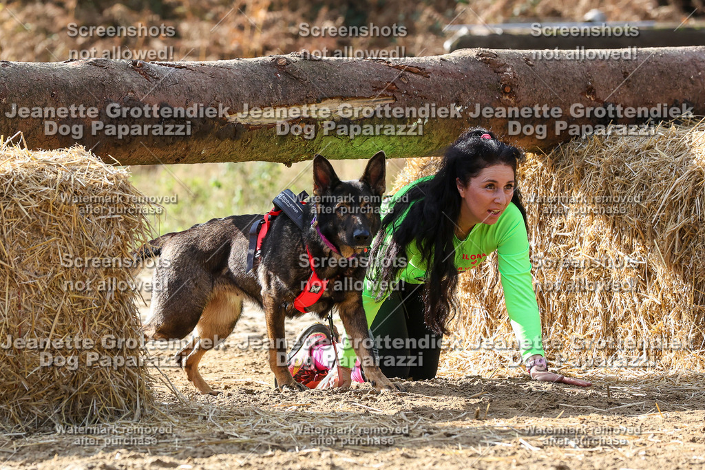 Dog Paparazzi - Strongdog 10-25-5868 | Dog Paparazzi Jeanette Grottendiek Fotografie & Videografie - Realisiert mit Pictrs.com