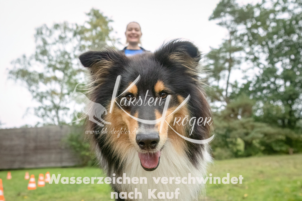 1006_ZZ91536-Bearbeitet | kk-dogfotos